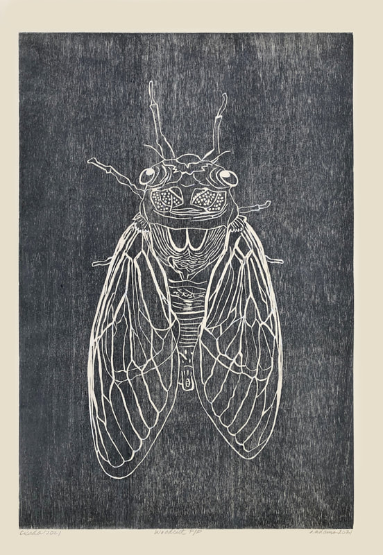 cicada relief print on Wood. woodgrain showing.